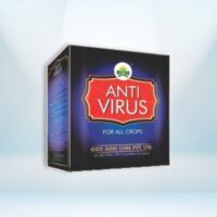 ANTI VIRUS