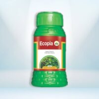 ecopia