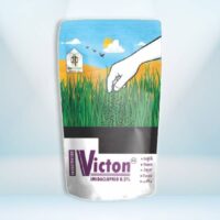 VICTON - IMIDACLOPRID 0.3 % GR